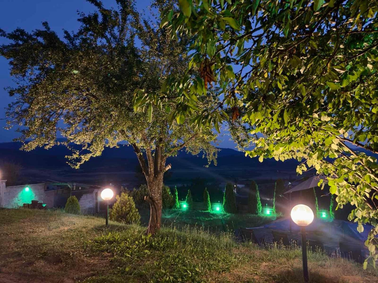 Villa Monte Velingrad Eksteriør bilde